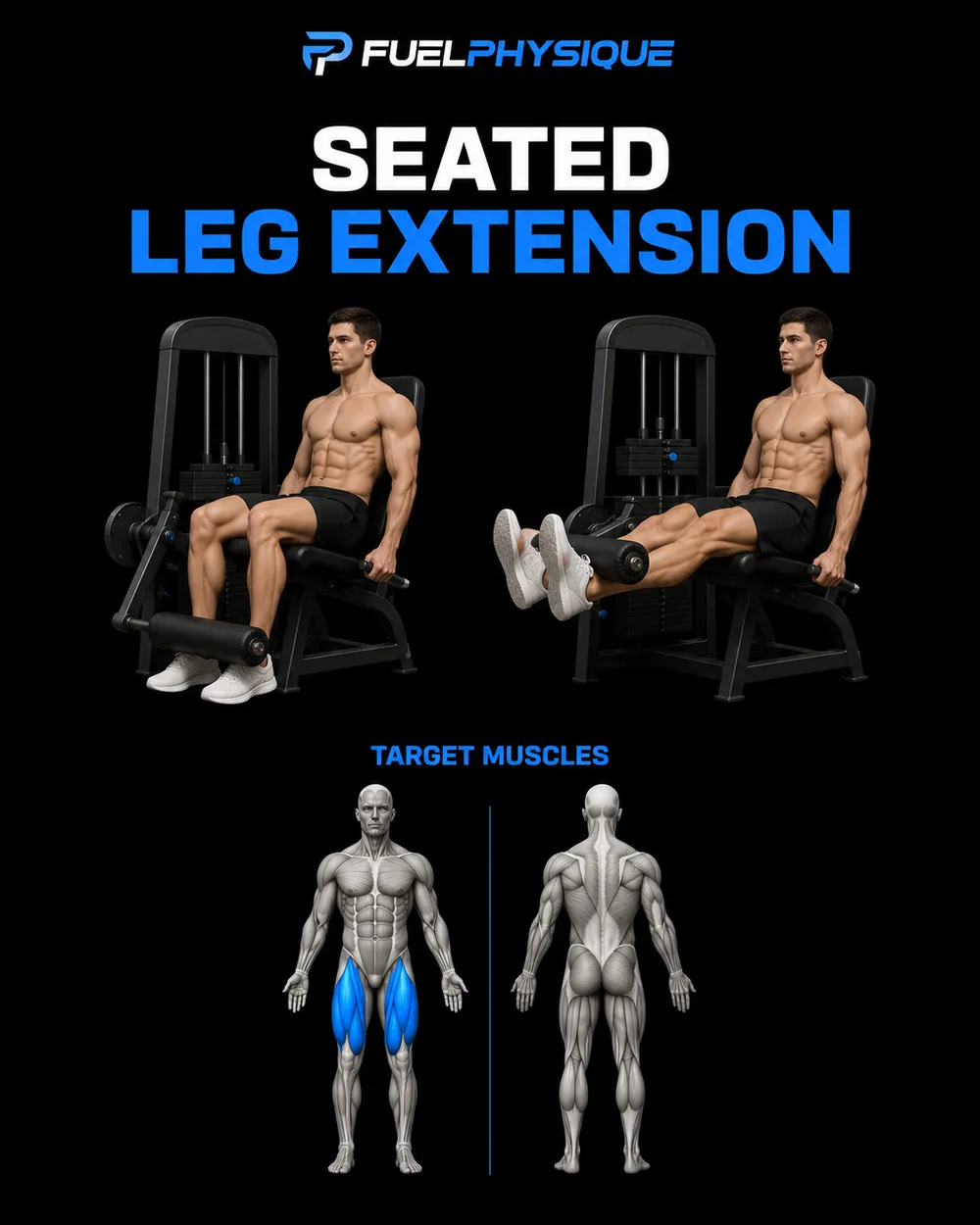 Leg Extension exercise illustration