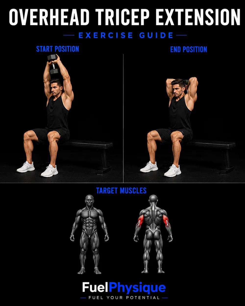 Overhead Tricep Extension exercise illustration