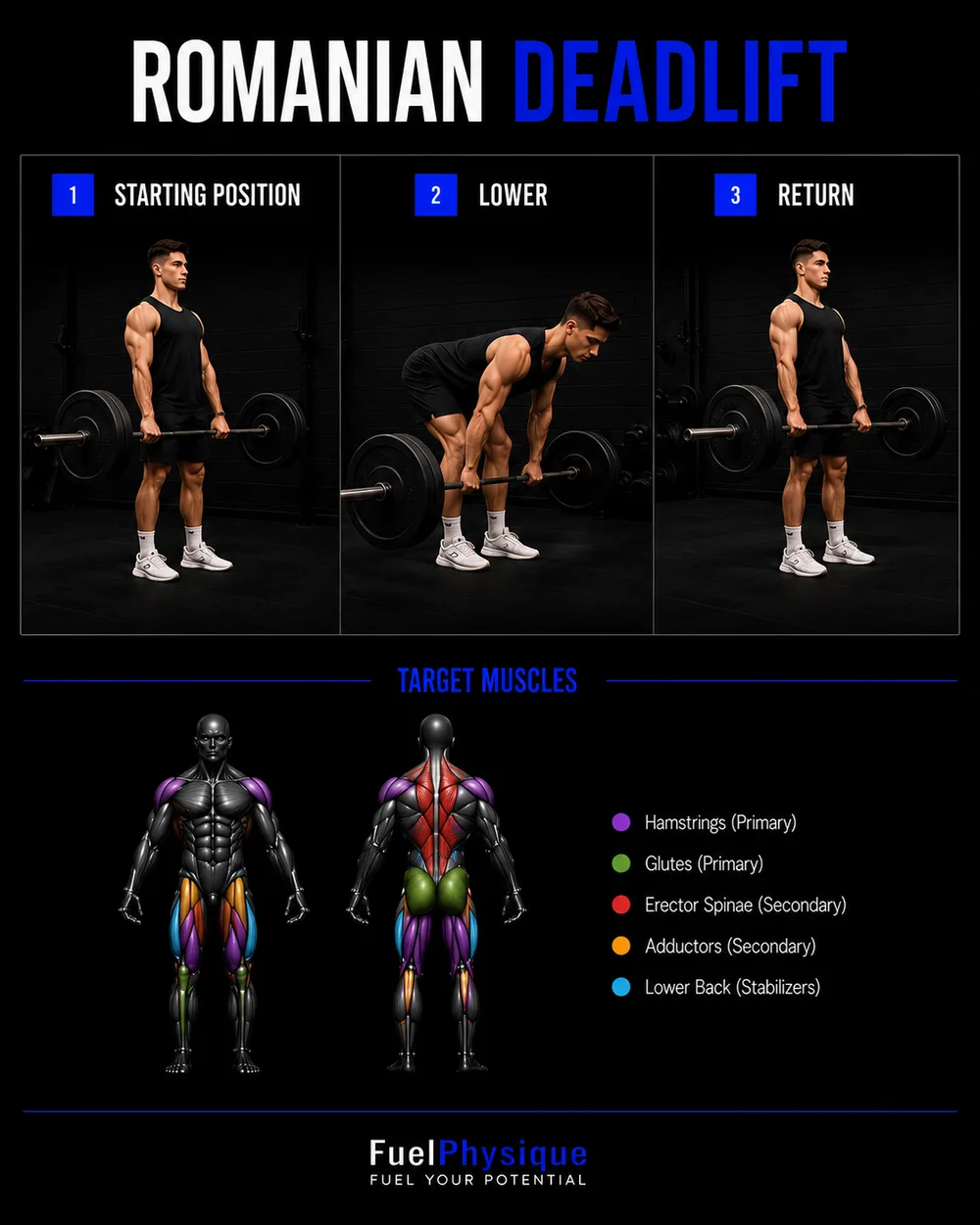 Romanian Deadlift exercise illustration