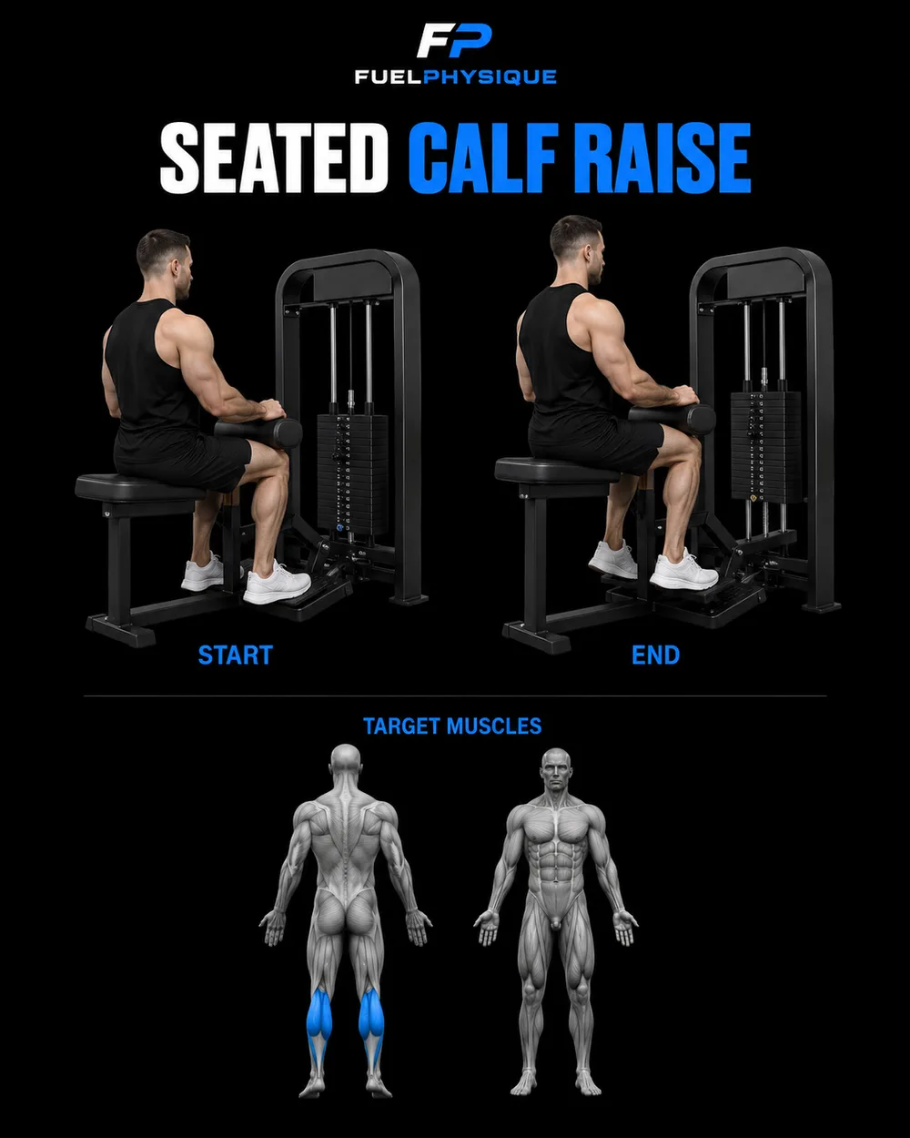 Seated Calf Raise exercise illustration