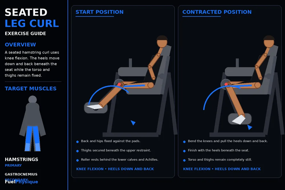 Seated Leg Curl exercise illustration